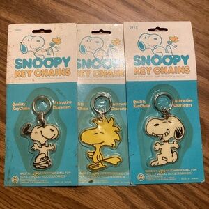 Collectible keychains